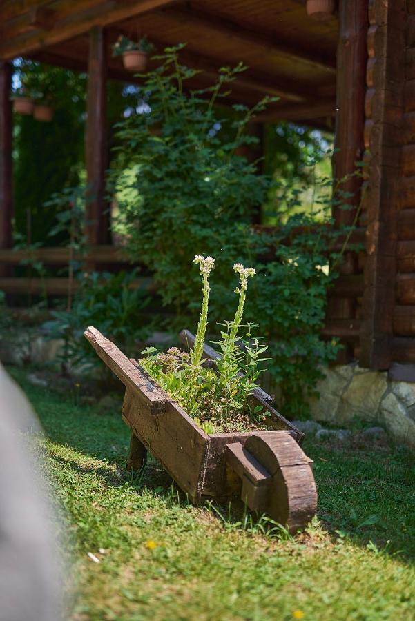 Country House Brijest โคลาชิน ภายนอก รูปภาพ
